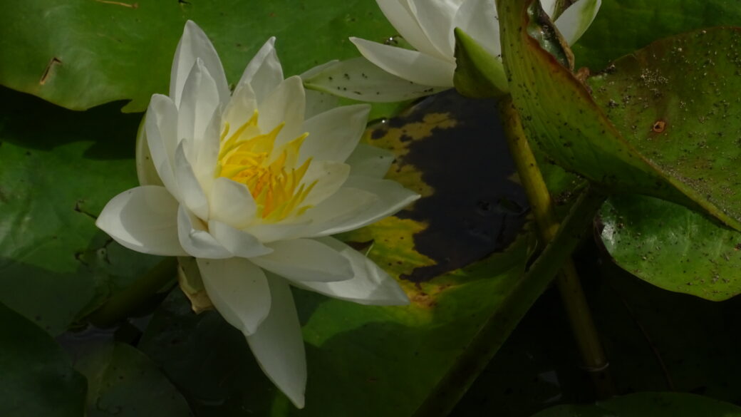 3 Reasons Why Meditation Does Not Work For YOU Right Now