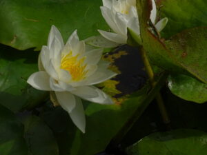 3 Reasons Why Meditation Does Not Work For You